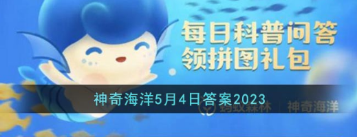 神奇海洋5.4今日答案是什么-5.4正确答案分享